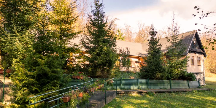 Výborný vyprážaný syr alebo grilovaný hermelín priamo v košickej ZOO
