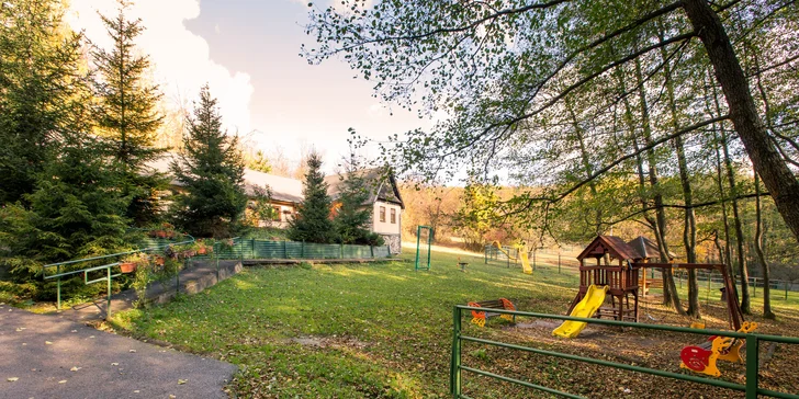 Výborný vyprážaný syr alebo grilovaný hermelín priamo v košickej ZOO