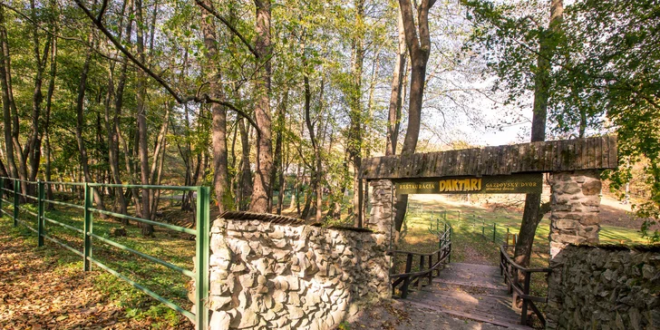 Výborný vyprážaný syr alebo grilovaný hermelín priamo v košickej ZOO