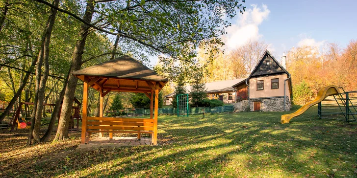 Výborný vyprážaný syr alebo grilovaný hermelín priamo v košickej ZOO