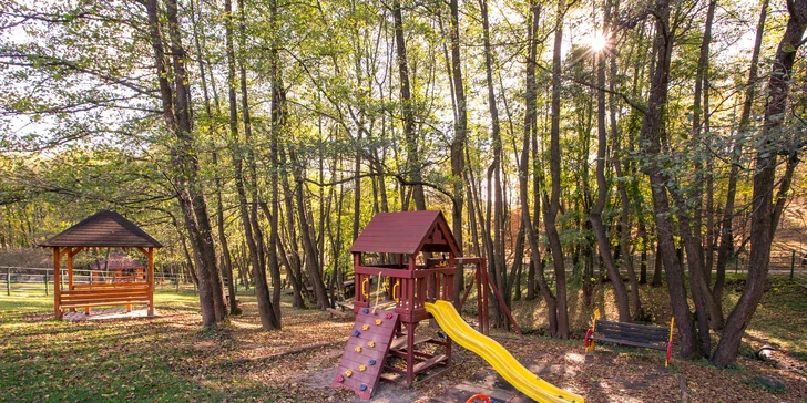 Výborný vyprážaný syr alebo grilovaný hermelín priamo v košickej ZOO