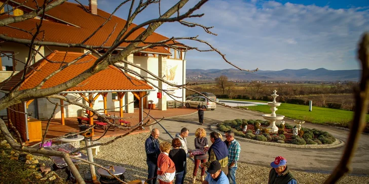 Romantický pobyt v hoteli Kelep*** v srdci vinárskej oblasti Tokaj