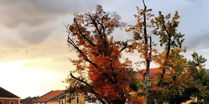 Nezabudnuteľný relax na Morave: neobmedzený wellness, polpenzia aj výlety!