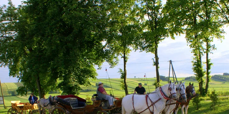 Pobyt plný aktívnej rekreácie i wellness relaxu v hoteli Mercure Dosłońce**** neďaleko Krakova
