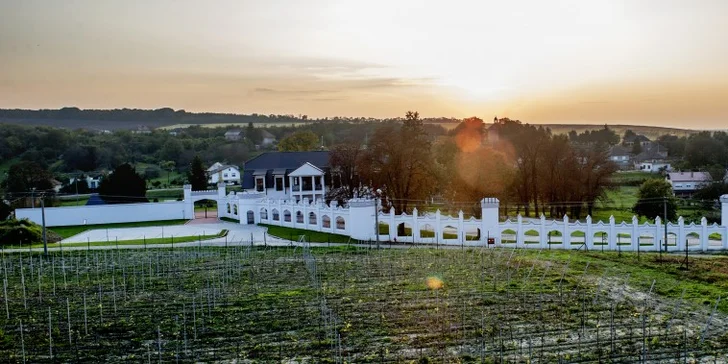 Romantický víkendový pobyt v Chateau Šarkan*** pri Štúrove