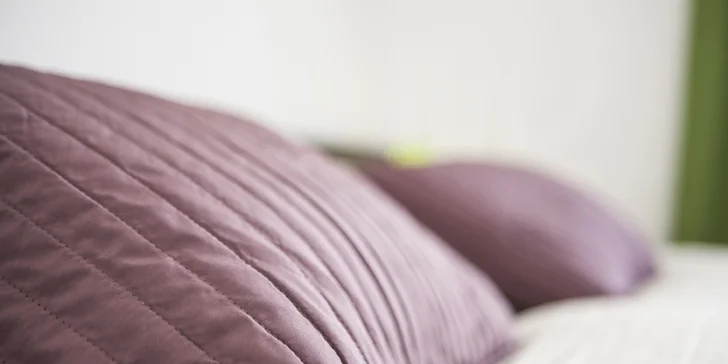 Príjemné dni a relax v krásnom hoteli v centre Prahy