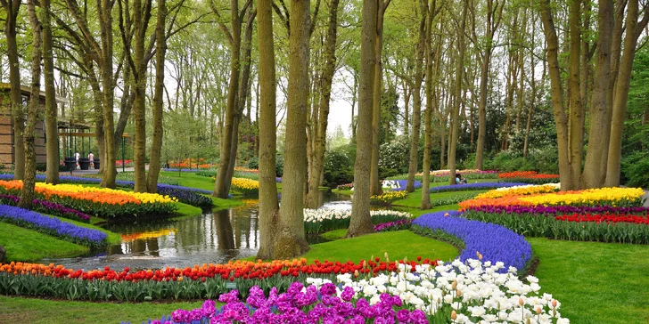 Rozkvitnuté Holandsko a prehliadka Amsterdamu