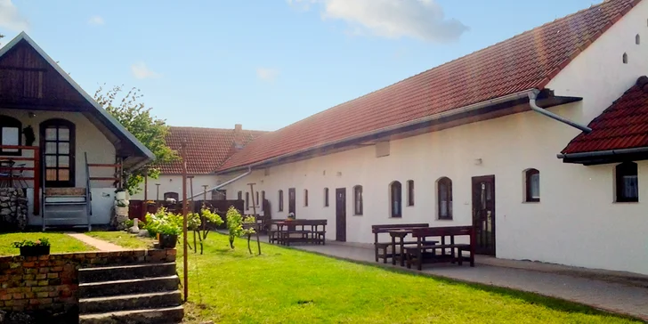 Vinársky pobyt s degustáciou na južnej Morave: platnosť na celú sezónu 2019