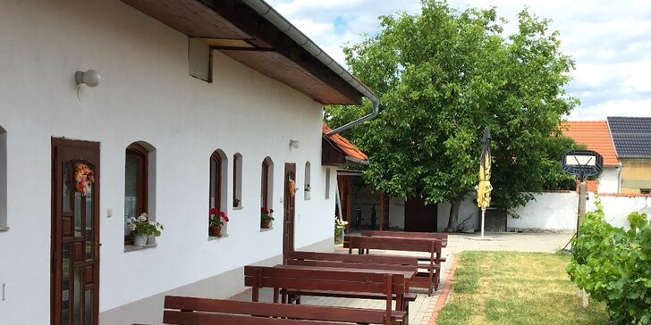 Vinársky pobyt s degustáciou na južnej Morave: platnosť na celú sezónu 2019