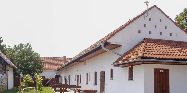Vinársky pobyt s degustáciou na južnej Morave: platnosť na celú sezónu 2019