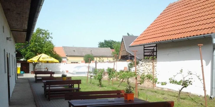 Vinársky pobyt s degustáciou na južnej Morave: platnosť na celú sezónu 2019