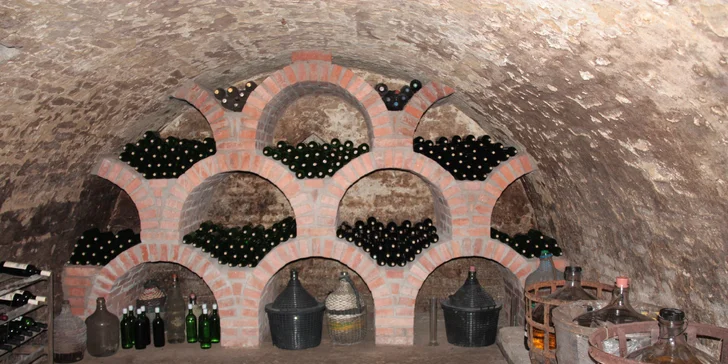 Vinársky pobyt s degustáciou na južnej Morave: platnosť na celú sezónu 2019