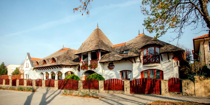 Pobyt pre milovníkov agroturistiky a rekreácie v Penzióne Žitava, blízko kúpeľov Podhájska