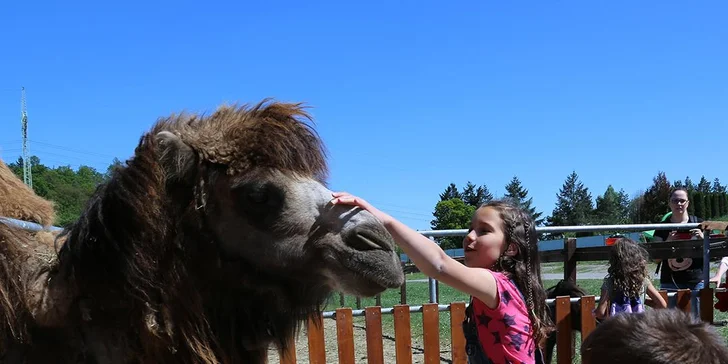 Najlepší darček: Rodinné vstupenky do Farmaparku až pre 5 osôb