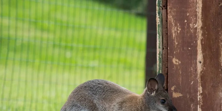 Najlepší darček: Rodinné vstupenky do Farmaparku až pre 5 osôb