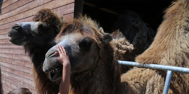 Najlepší darček: Rodinné vstupenky do Farmaparku až pre 5 osôb