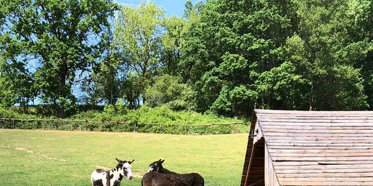 Najlepší darček: Rodinné vstupenky do Farmaparku až pre 5 osôb