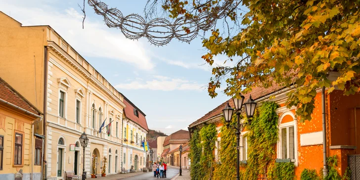 Romantický pobyt v srdci Tokaja - polpenzia a ochutnávka vín