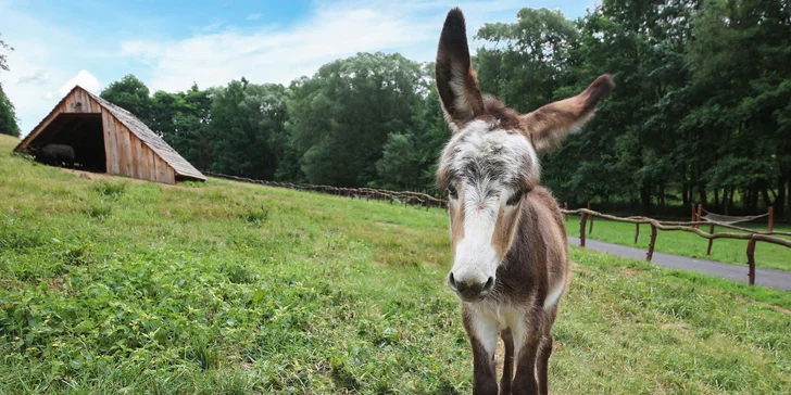 Najlepší darček: Rodinné vstupenky do Farmaparku až pre 5 osôb