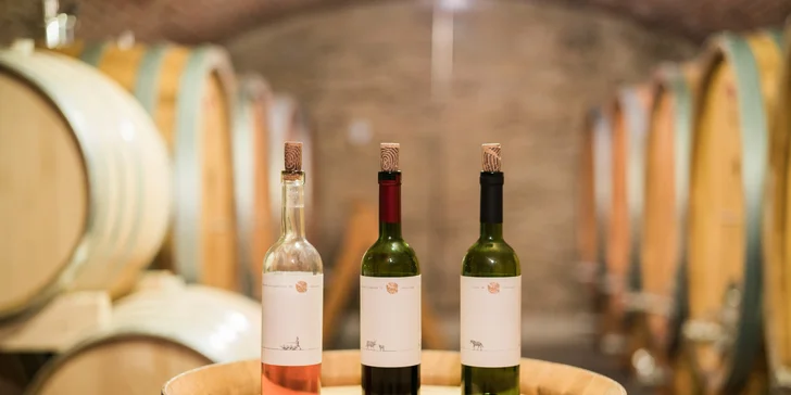 Výnimočný gurmánsky pobyt vo vinárskom regióne v Château Rúbaň