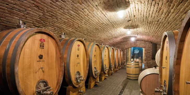 Výnimočný gurmánsky pobyt vo vinárskom regióne v Château Rúbaň