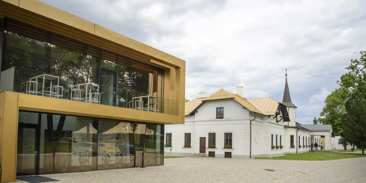 Výnimočný gurmánsky pobyt vo vinárskom regióne v Château Rúbaň