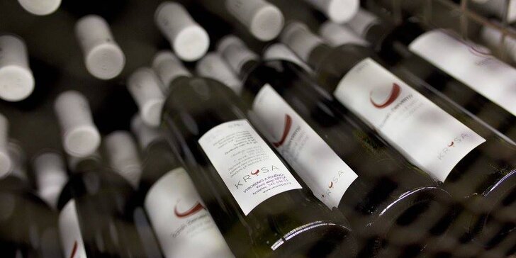 Raj milovníkov vína a južnej Moravy: Vinný sklep Krýsa s prehliadkou vinohradu