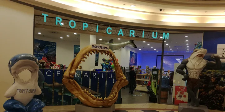 Prehliadka Budapešti a návšteva Tropicária