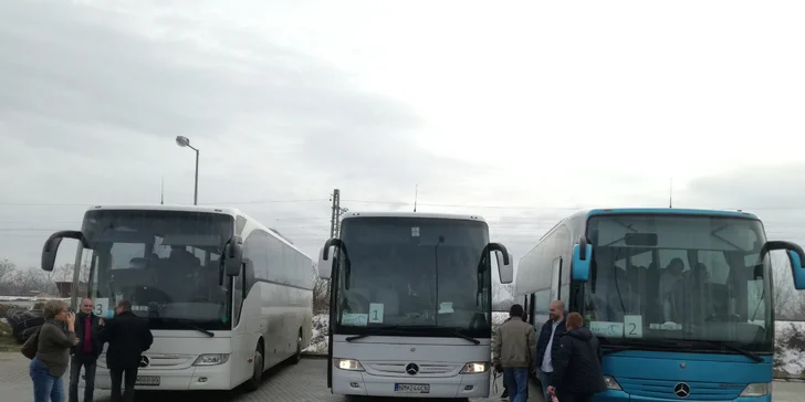 Skvelý predvianočný darček v Budapešti: prehliadka mesta, Tropicaria aj adventných trhov
