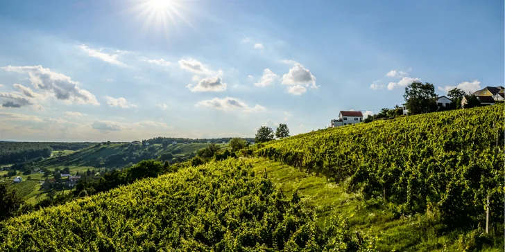 Ubytovanie v rakúskom Solens Land Guest House so zľavou do termálnych kúpeľov
