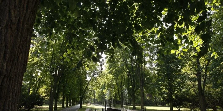 Luxusný pobyt v Hoteli PARK AVENUE****Piešťany