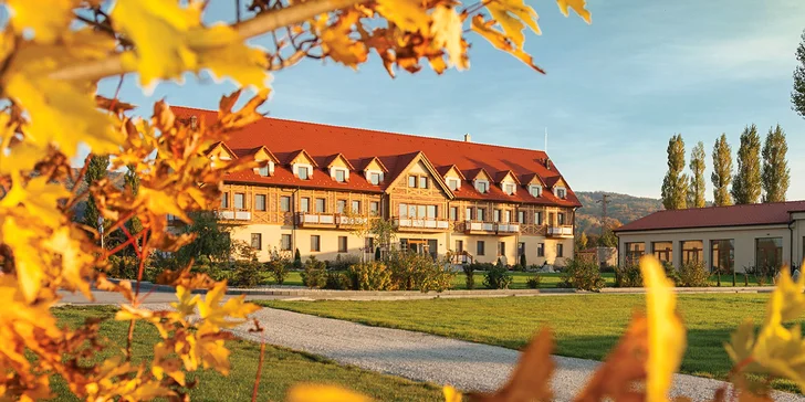 Úžasný pobyt v Hoteli Malvázia**** s wellness, rozsiahlym areálom s parkom a jazerom