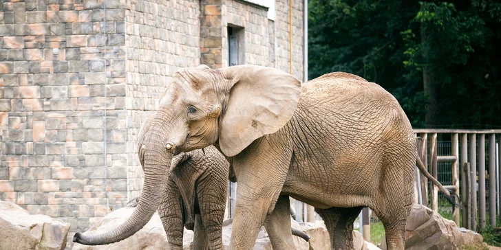 Zájazd do Maďarska: ochutnávka vín, návšteva kúpeľov alebo zoologickej záhrady