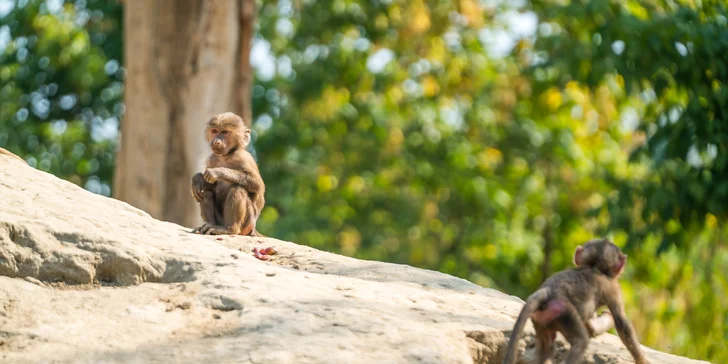 Zájazd do Maďarska: ochutnávka vín, návšteva kúpeľov alebo zoologickej záhrady