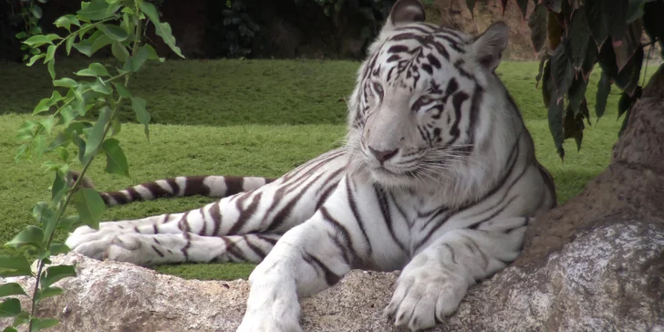 Zájazd do Maďarska: ochutnávka vín, návšteva kúpeľov alebo zoologickej záhrady