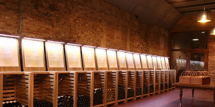 Vstup a ochutnávka vín vo vínnej galérii Chateau Krakovany