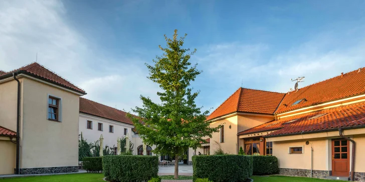 Vstup a ochutnávka vín vo vínnej galérii Chateau Krakovany