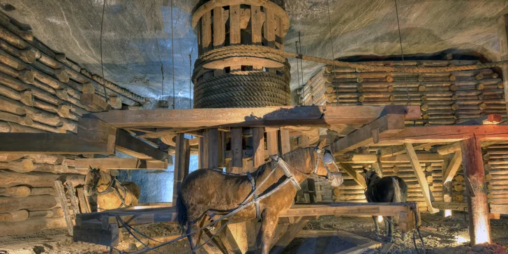 Dva magické dni v Zakopanom, Krakove a Wieliczke