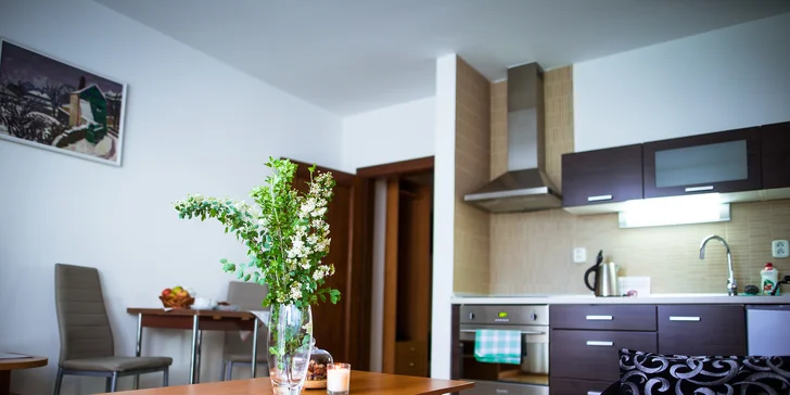 Apartmány v Tatranskej Lomnici – dovolenka pre celú rodinu i partie