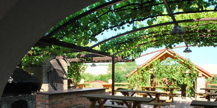Zážitkový pobyt vo vinárstve pre milovníkov južnej Moravy, jedla a vína