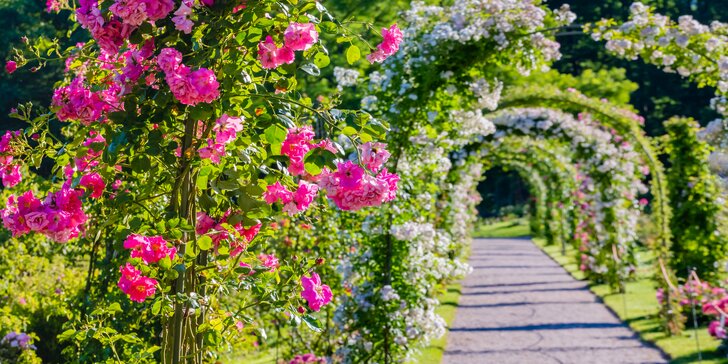 Slávnosť ruží v Badene a zámok Mayerling