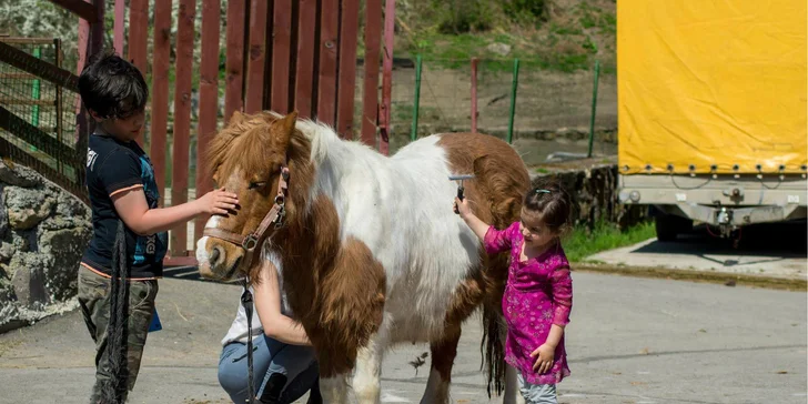 Leto na farme Super Farm plné dobrodružstiev a skvelých zážitkov!