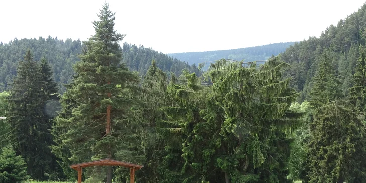 Relax pre páry aj rodiny v tichom prostredí Liptova v Hoteli Borová Sihoť**