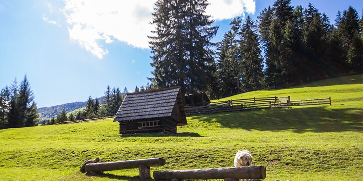 Koliba u dobrého Pastiera s gurmánskou kuchyňou, ochutnávkou vlastných výrobkov a aktivitami v horskom prostredí Čutkovskej doliny
