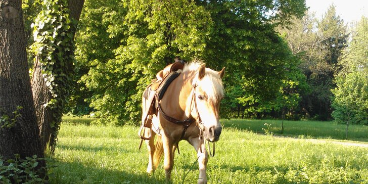 Výcviková či relaxačná jazda na koni vo vo Veľkých Bedzanoch