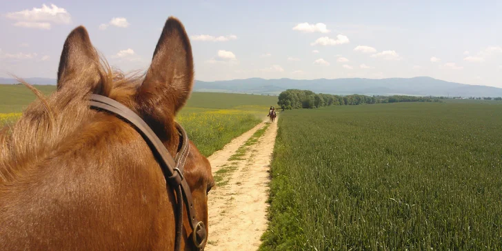 Výcviková či relaxačná jazda na koni vo vo Veľkých Bedzanoch