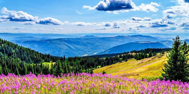 Dokonalý odpočinok v Poľsku pre páry i rodiny: polpenzia, neobmedzený wellness