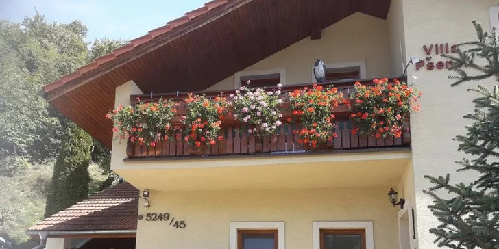 Oddych vo wellness s masážou podľa vlastného výberu pre 2 osoby vo Ville Pšenek