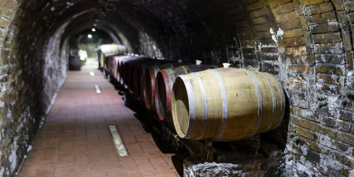 2-dňová vstupenka na Koštovku vín v pivniciach Veľkokrtíšskej vínnej cesty