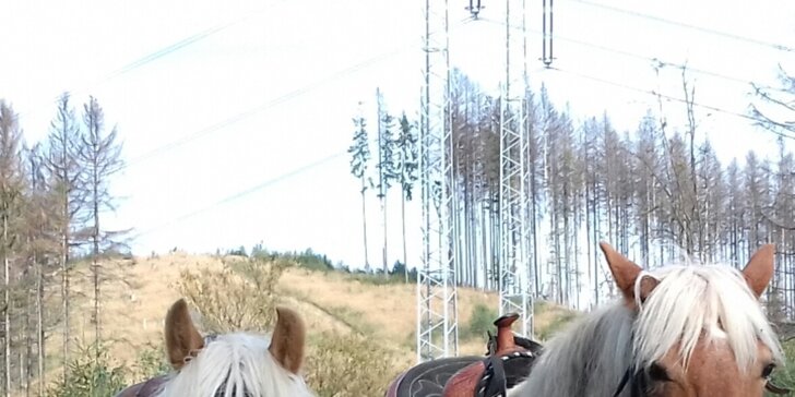 Vychádzky či jazdecký kurz: Užite si krásne výhľady na kysuckú prírodu z chrbta koní